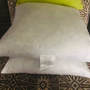 2 Duck filled pillow inserts